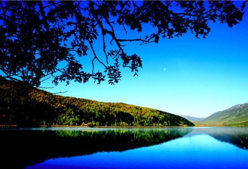 ��������-������裨ľ��룩�����ݜ� �����Ӝ����o���������漃���Ȫ�����Σ� ȫ��0���M��ٛ�ͮ�����ɫ�ͣ���������Ȫ�Ƶ���