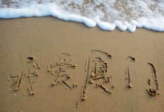 �����B�T�����Թ��ˎZ���B�T�����ˎZ����������Ժ���p�w5���� ȫ�̲��M�����w�360���ЃȈ��������