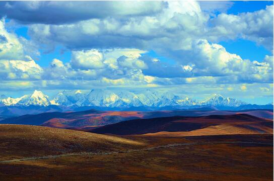 �{ɫ�����ϵ����һƬ�������ɶ�����-���ǁ����o����īʯ���@ľ��ʥ���p����������ȫ��һ��������ס��