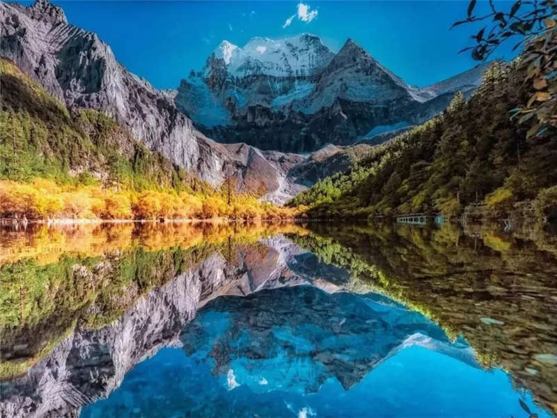 �ͺ��Οo(w��)�߷�����6���Σ��¶���+���ǁ���VIPС�F(tu��n)�zӰ����6����6��С�F(tu��n)�����M(f��i)�әC(j��)����(w��)��ٛ(z��ng)�ͳɶ������Ƶ���