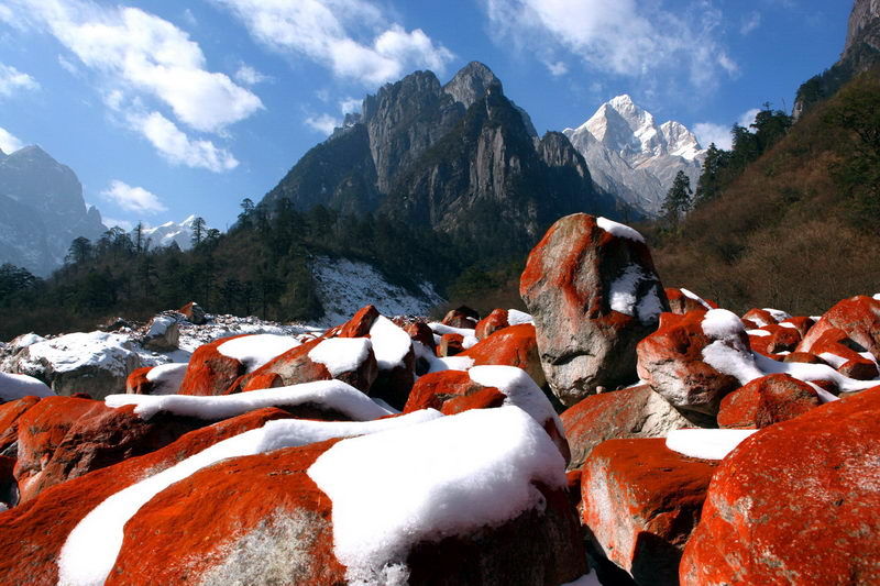 �Ĵ����Ӝ�