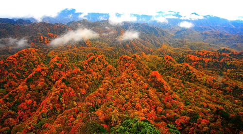 �Ĵ����Fɽ�t�~